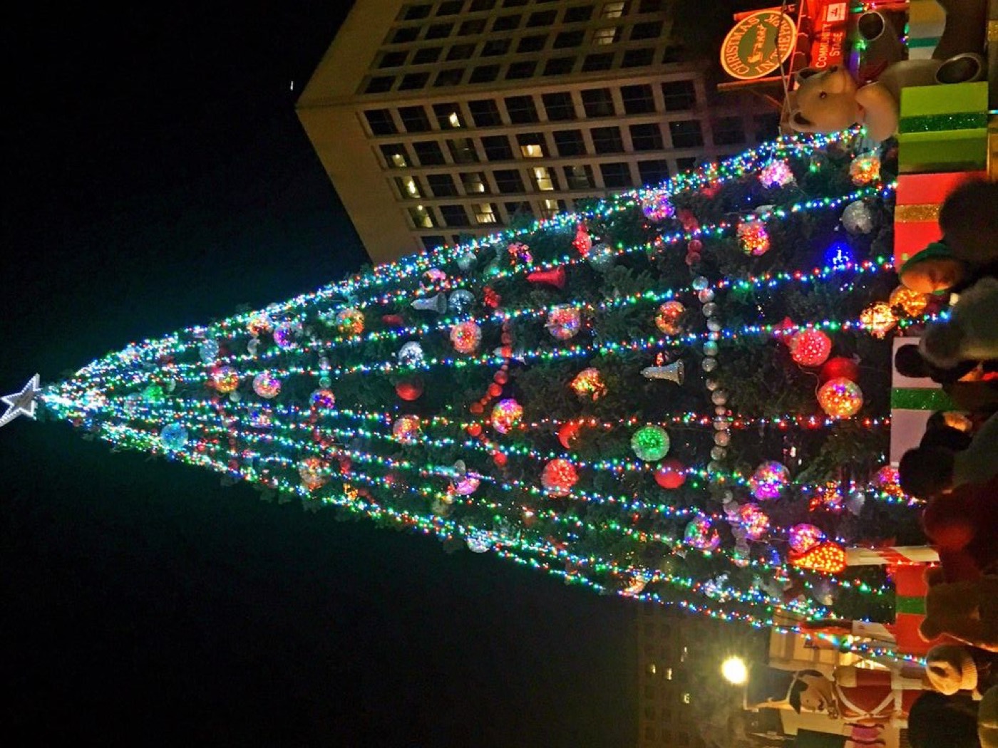 San Francisco holiday tree at night